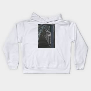 Frosty cobweb Kids Hoodie